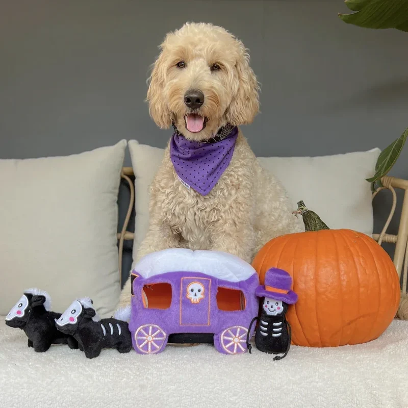 Peluche de flair XL Calèche hantée - Jouet d'occupation pour chien – ZippyPaws® Burrow™ Haunted Carriage