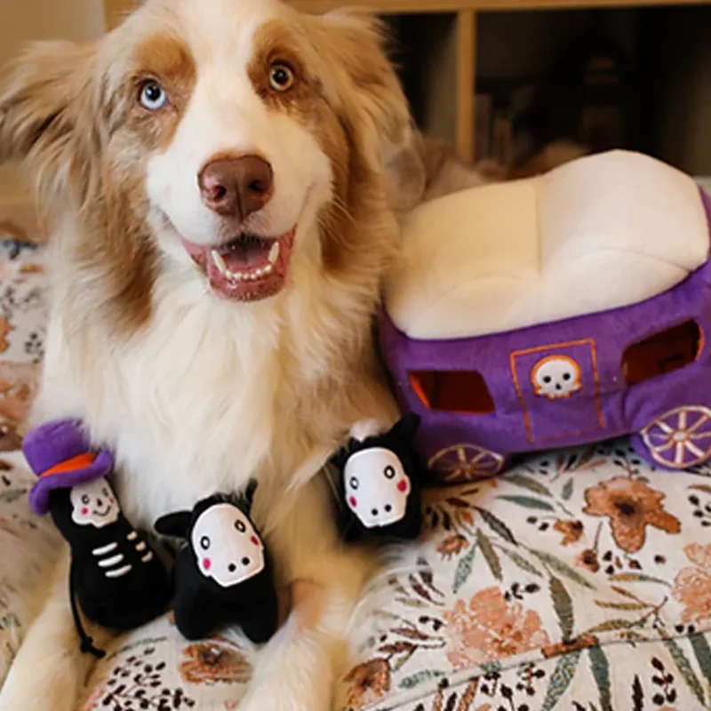 Peluche de flair XL Calèche hantée - Jouet d'occupation pour chien – ZippyPaws® Burrow™ Haunted Carriage