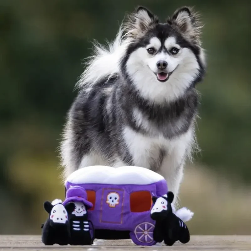Peluche de flair XL Calèche hantée - Jouet d'occupation pour chien – ZippyPaws® Burrow™ Haunted Carriage