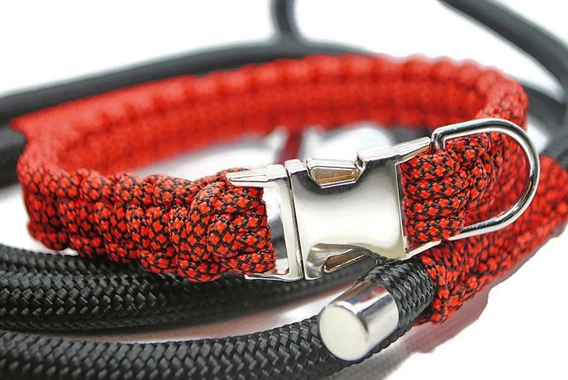 Collier pour chien NEON orange - 2cm