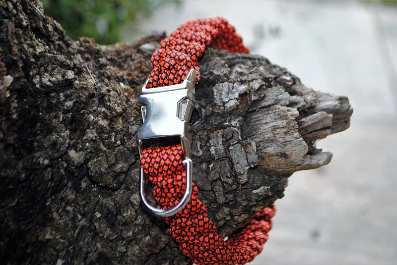 Collier pour chien NEON orange - 2cm
