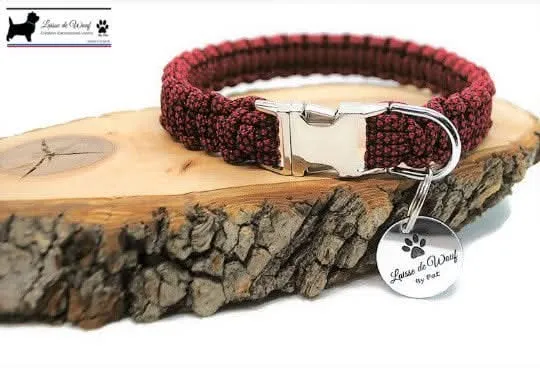 Collier pour chien DIAMOND - largeur 2cm