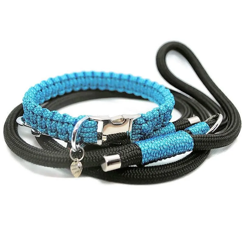Collier pour chien DIAMOND - largeur 2cm