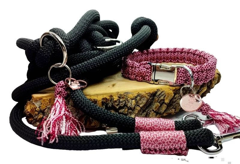 Collier pour chien DIAMOND - largeur 2cm