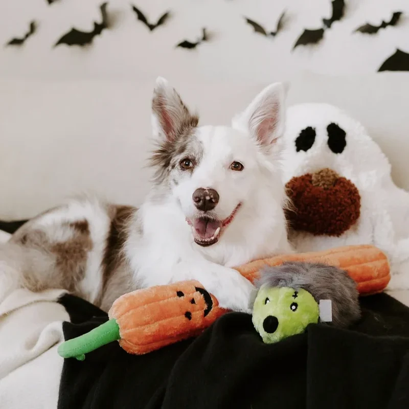 Peluche Citrouille Jack O'Lantern – Peluche XXL pour chien – Jigglerz®