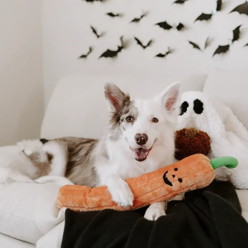 Peluche Citrouille Jack O'Lantern – Peluche XXL pour chien – Jigglerz®