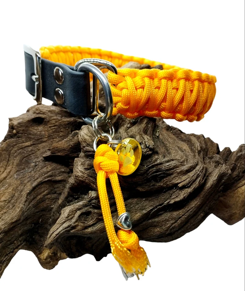 Collier réglable pour chien UNI - largeur 3cm