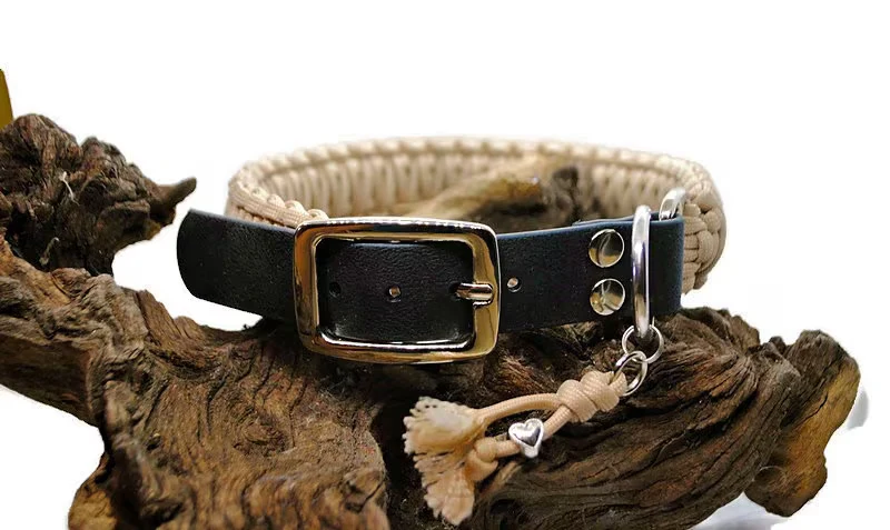 Collier réglable pour chien UNI - largeur 3cm