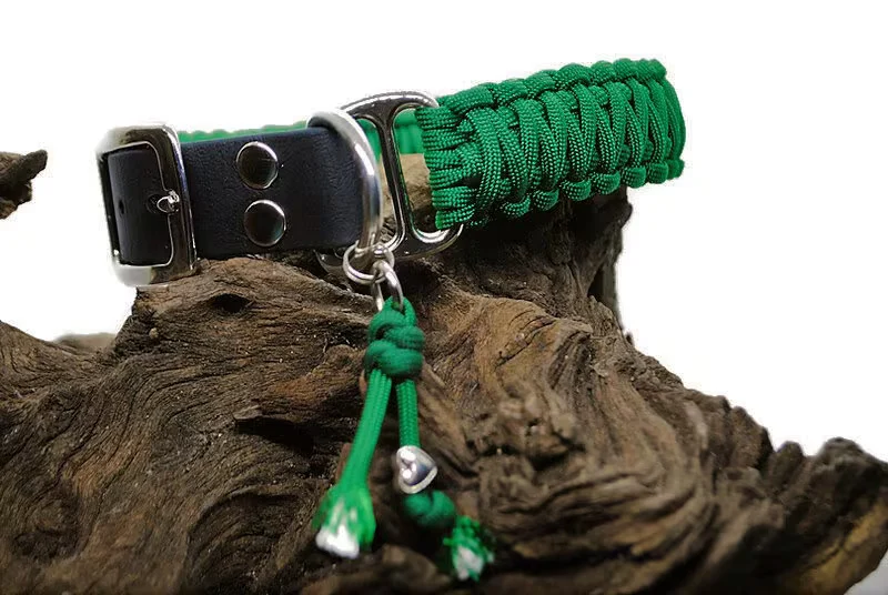 Collier réglable pour chien UNI - largeur 3cm