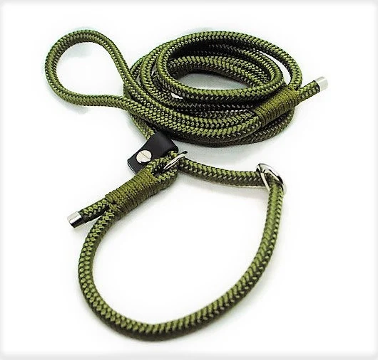 Laisse lasso LDW