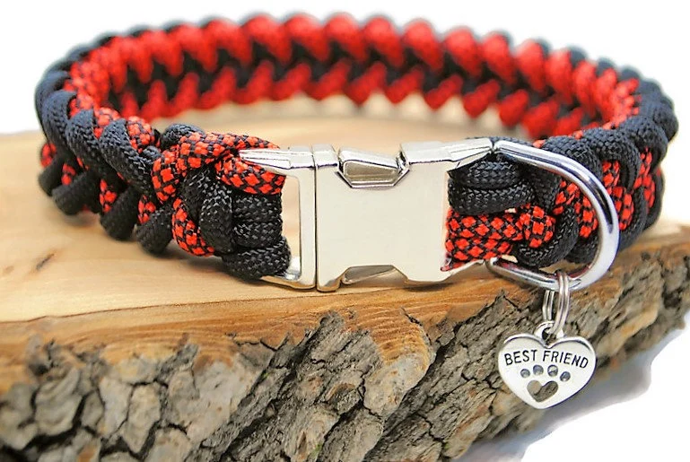 Collier pour chien SHARK Orange et noir - largeur 2cm