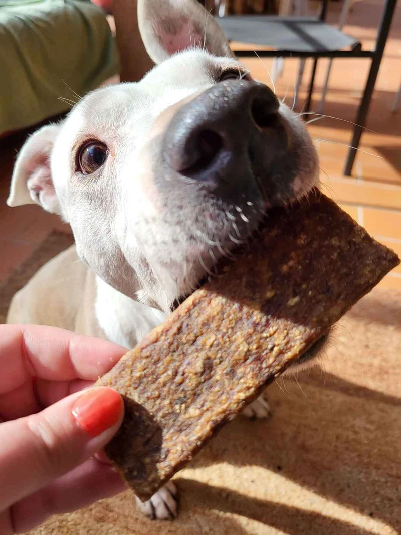 Lamelles de bœuf