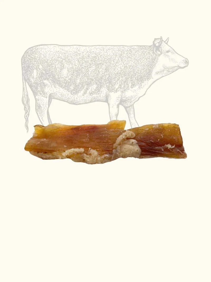 Tendons de boeuf