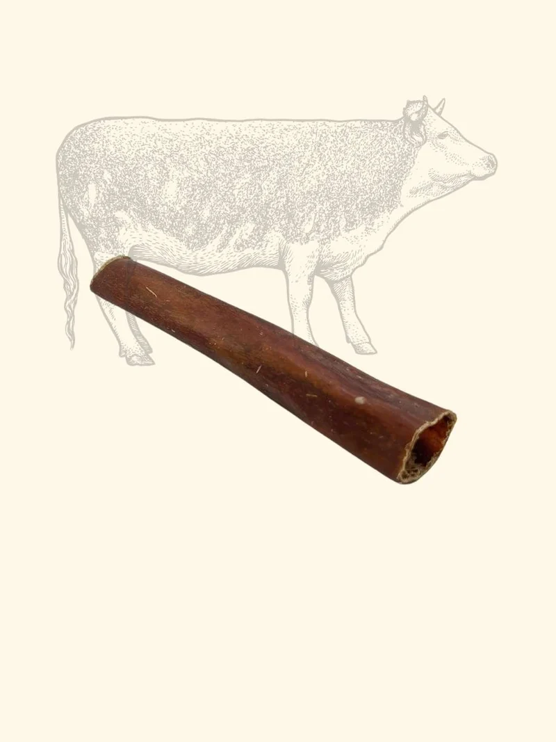 Œsophages de bœuf