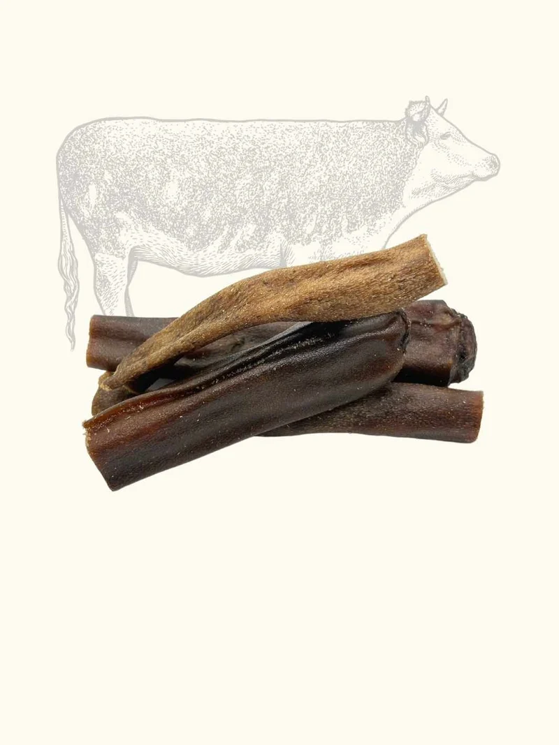 Queues de bœuf