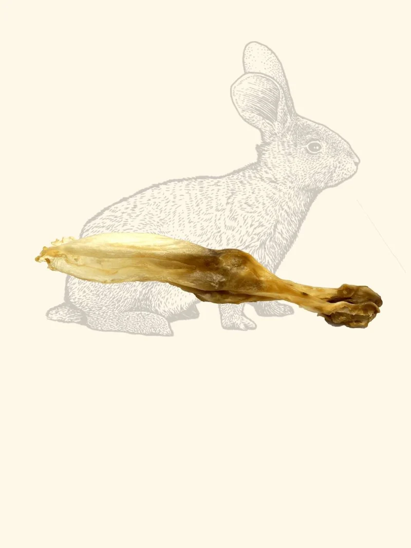 Oreilles de lapin