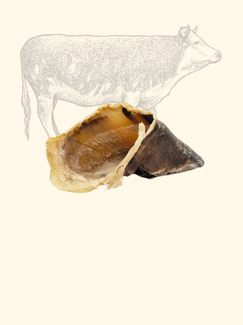 Sabot de bœuf
