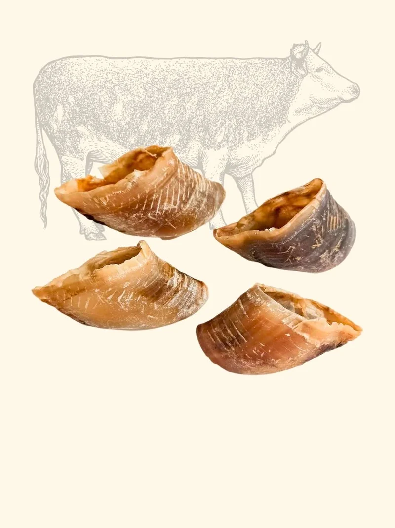 Sabot de bœuf