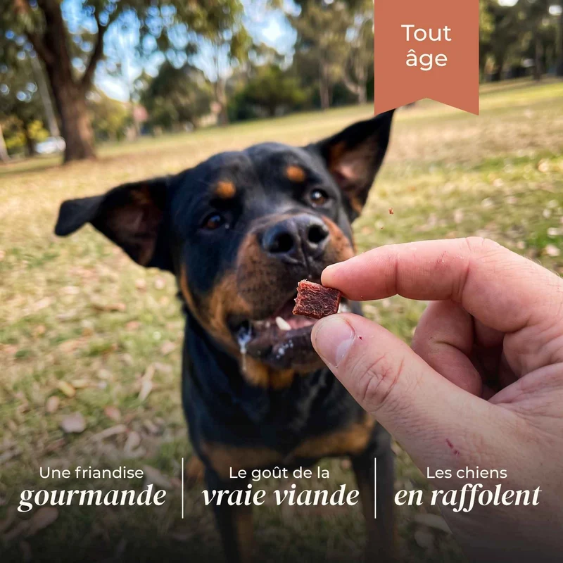 Friandises boeuf