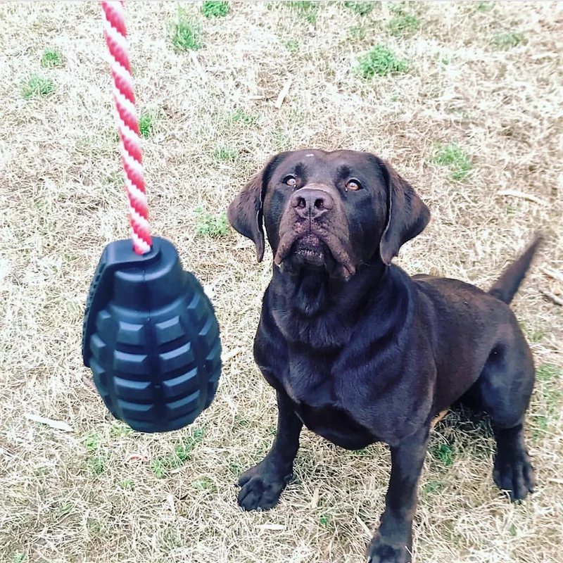 Jouet à tirer et remplir K9 Grenade