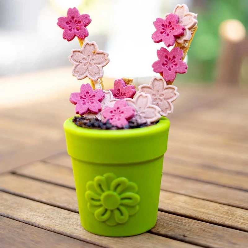 Jouet à remplir Flower Pot – Pot de fleurs – Sodapup