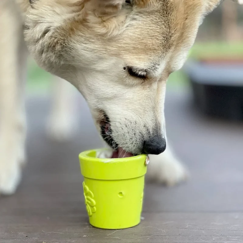 Jouet à remplir Flower Pot – Pot de fleurs – Sodapup