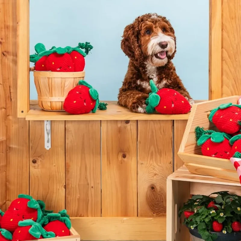 Crinkle Crops Fraise – Peluche pour chien Zippy Paws