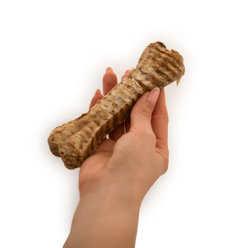 Trachée os de boeuf – Mastication gourmande pour chien