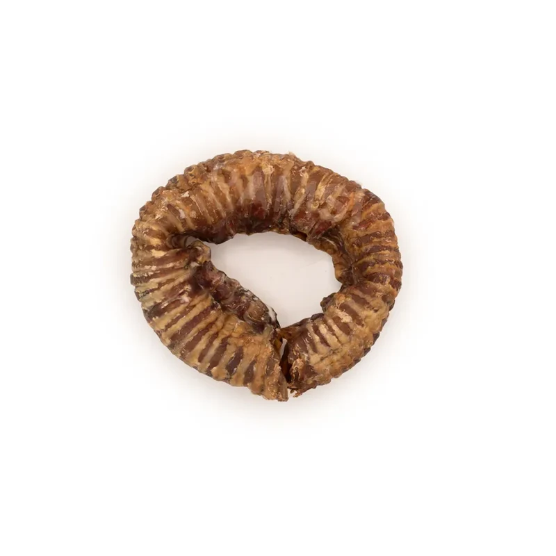 Donut de trachée de boeuf – Mastication gourmande pour chien