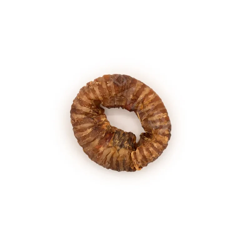 Donut de trachée de boeuf – Mastication gourmande pour chien