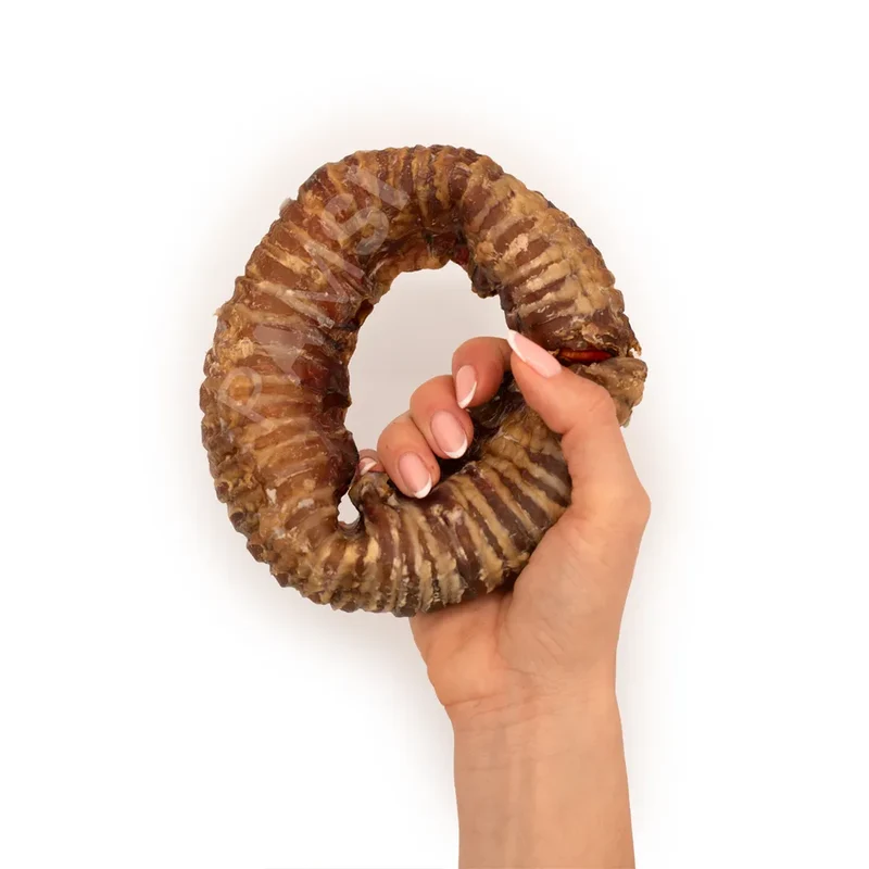Donut de trachée de boeuf – Mastication gourmande pour chien