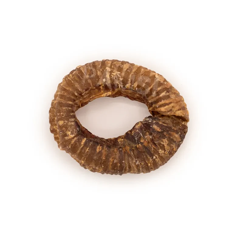Donut de trachée de boeuf – Mastication gourmande pour chien