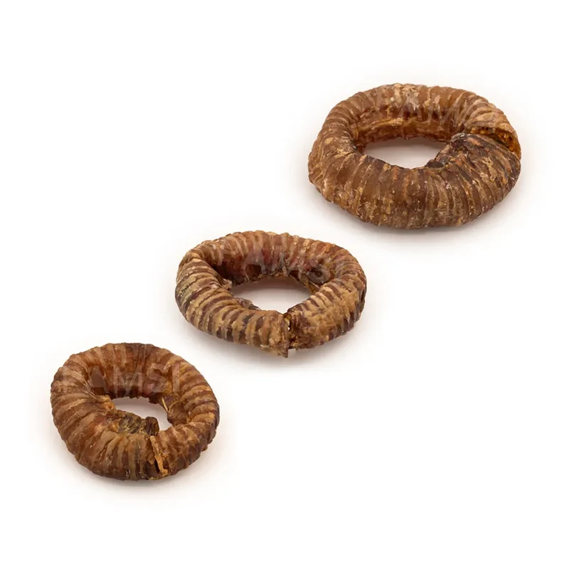 Donut de trachée de boeuf – Mastication gourmande pour chien