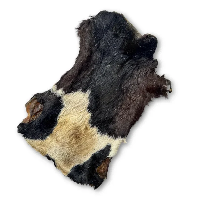 Plaque de peau boeuf avec poils – Mastication gourmande XXL pour chiens