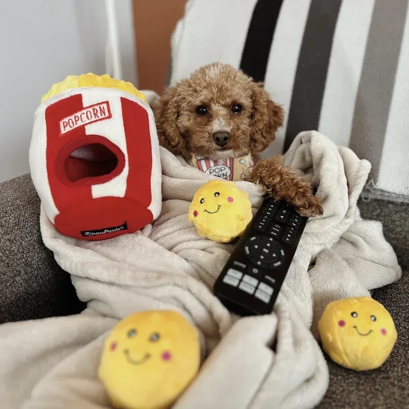 Peluche de flair Seau à Popcorn 🍿- Jouet d'occupation pour chien