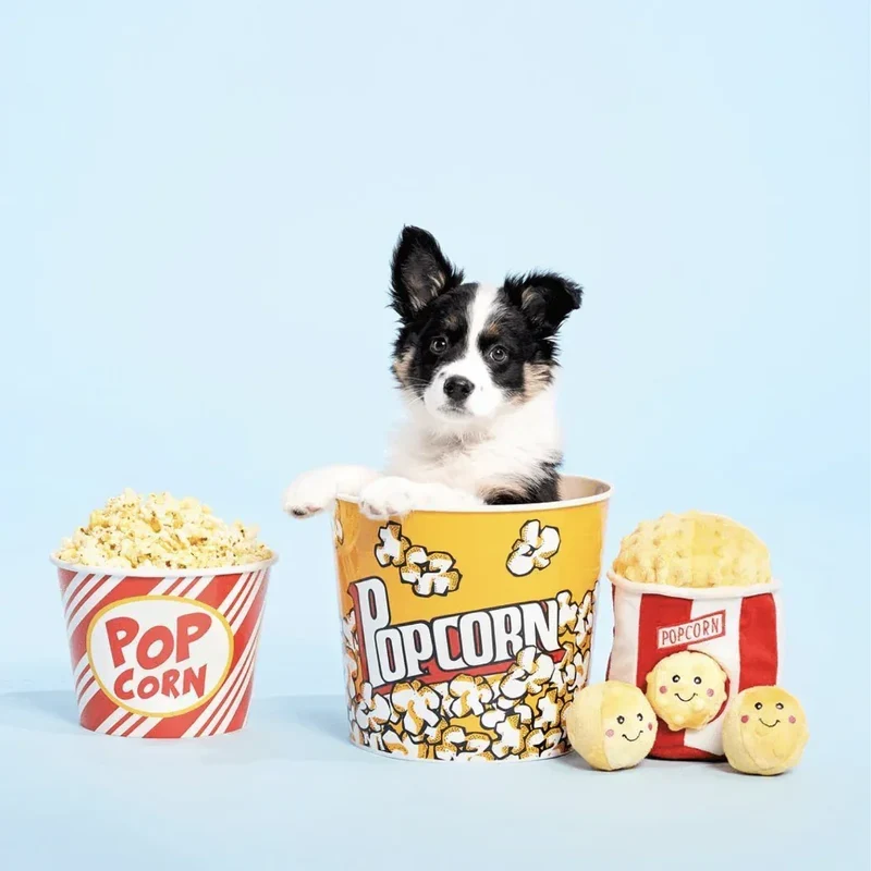 Peluche de flair Seau à Popcorn 🍿- Jouet d'occupation pour chien