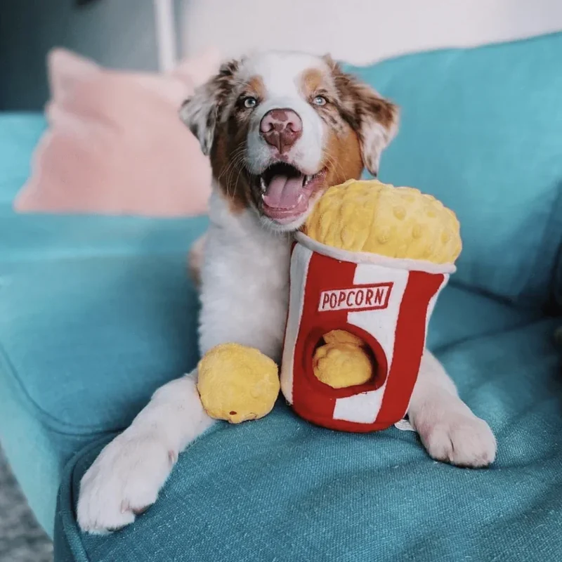 Peluche de flair Seau à Popcorn 🍿- Jouet d'occupation pour chien