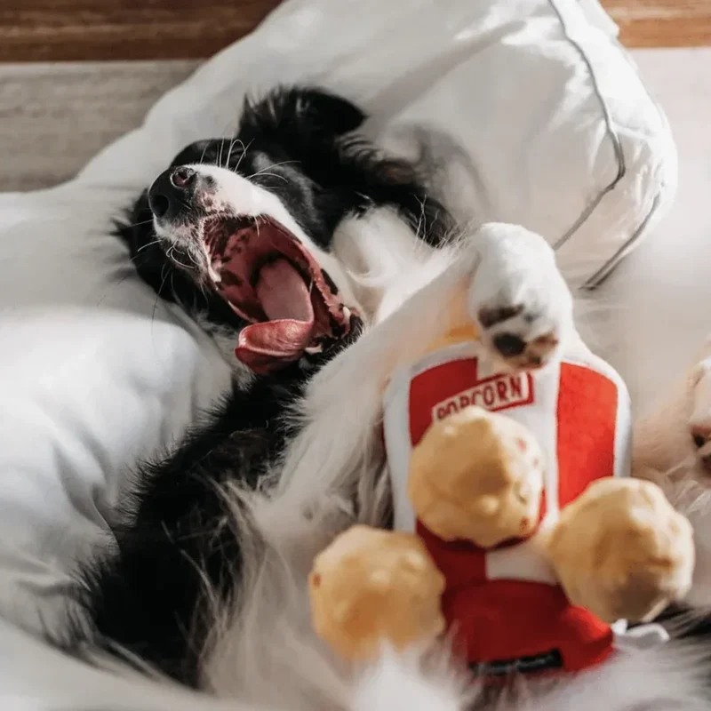 Peluche de flair Seau à Popcorn 🍿- Jouet d'occupation pour chien