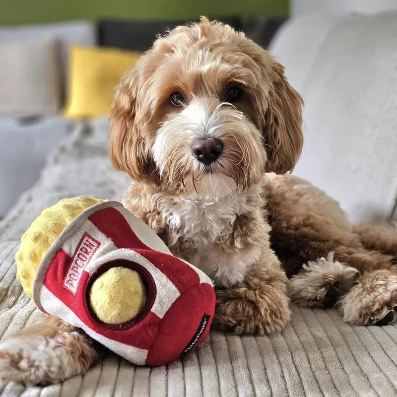 Peluche de flair Seau à Popcorn 🍿- Jouet d'occupation pour chien