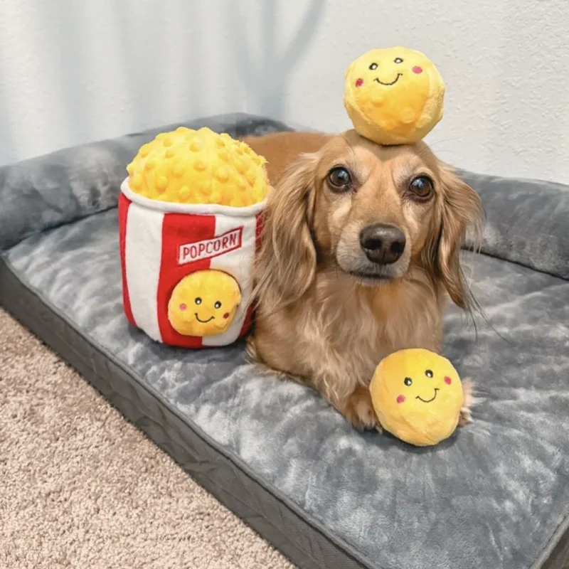 Peluche de flair Seau à Popcorn 🍿- Jouet d'occupation pour chien