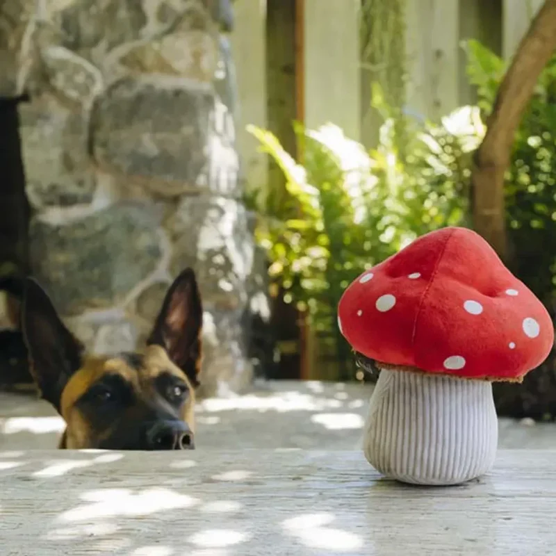 Blooming Buddies Mutt's Mushroom 🍄 – Jeu de fouille interactif champignon pour chien – PET PLAY