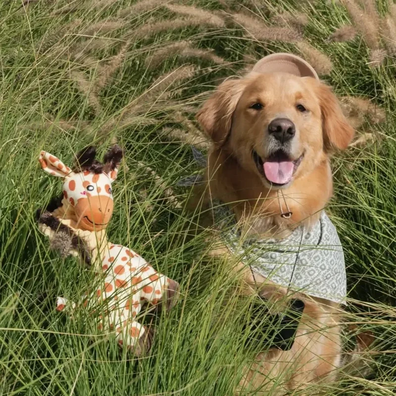 Peluche Girafe pour chien 🦒 – Bungie Buddiez Giraffe Zippypaws