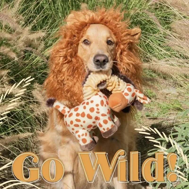 Peluche Girafe pour chien 🦒 – Bungie Buddiez Giraffe Zippypaws