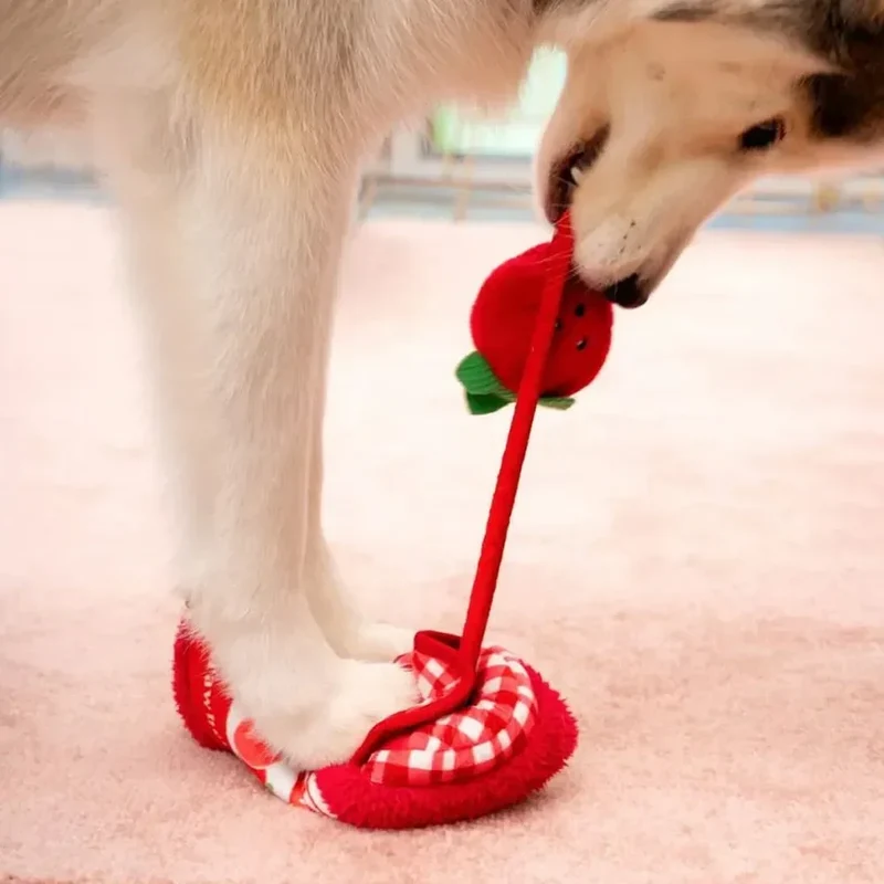 Bungee Burrow Strawberry Jam Zippypaws 🍓 – Jeu de fouille interactif pour chien