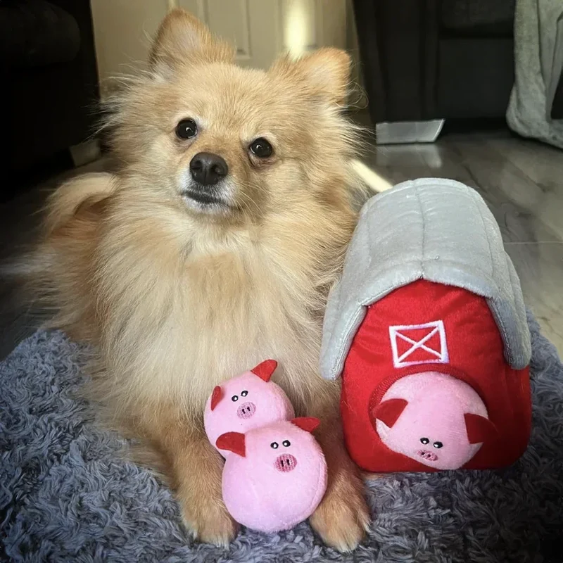 Peluche de flair Les 3 Petits Cochons 🐷 - Jouet d'occupation pour chien – ZippyPaws® Burrow™