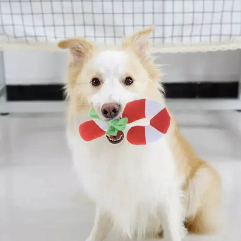Mini Sugar Cane – Mini peluche pour chien Canne à sucre d'orge