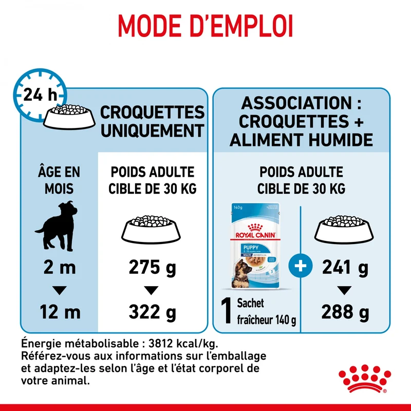 Royal Canin Maxi Puppy - Croquettes pour chiot
