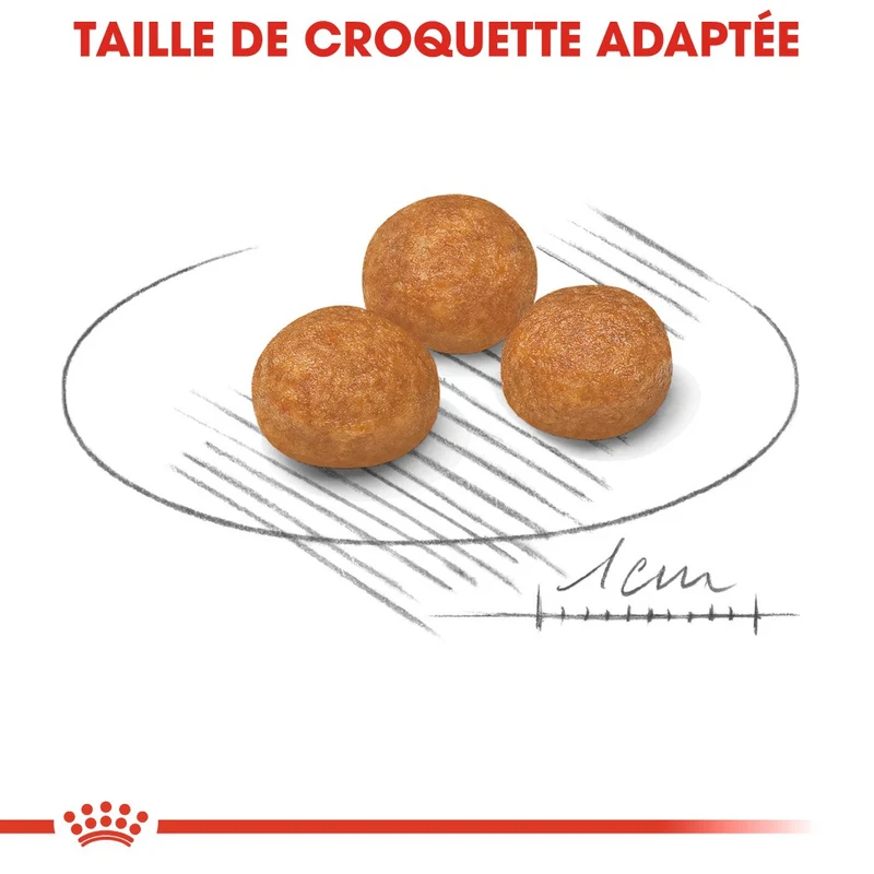 Royal Canin X-Small Adult