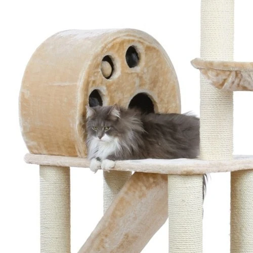 Arbre à chat Allora