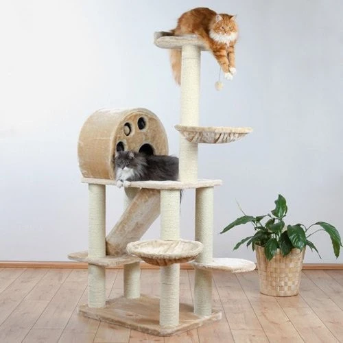 Arbre à chat Allora
